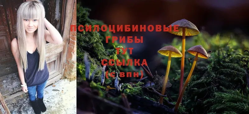 Псилоцибиновые грибы Magic Shrooms  Лобня 